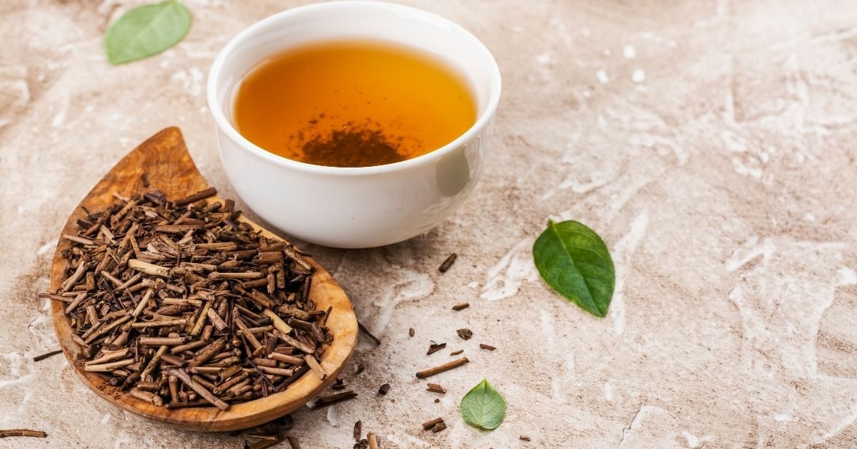 茶せんがなくても大丈夫!抹茶の点て方をクリーマーで手軽に楽しむコツ